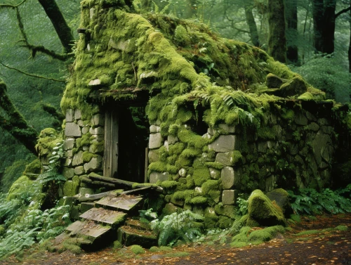 Stone ancient  building covered in moss by Midjourney
